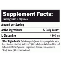 AMIX L-Glutamine - 360 caps